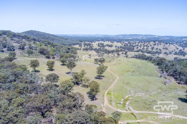 Main view of Homely rural property listing, LOT 52, 2202 Wellington Vale Road, Emmaville NSW 2371