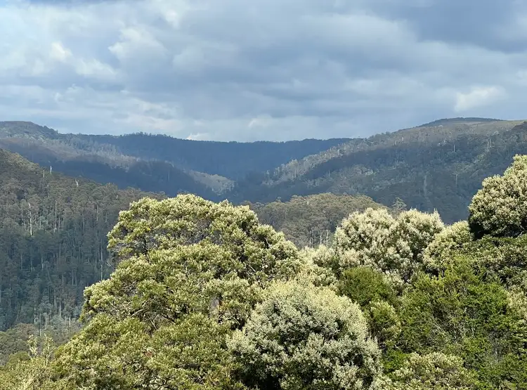Main view of Homely land listing, 654 West Calder Road, Calder TAS 7325