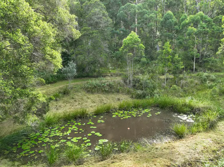 Sixth view of Homely rural property listing, 582 Nowendoc Road, Killawarra NSW 2429