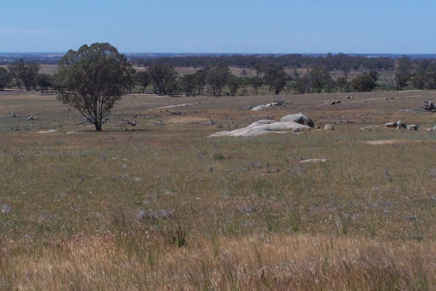 Main view of Homely ruralOther listing, Old Canfields Road, Korong Vale VIC 3520