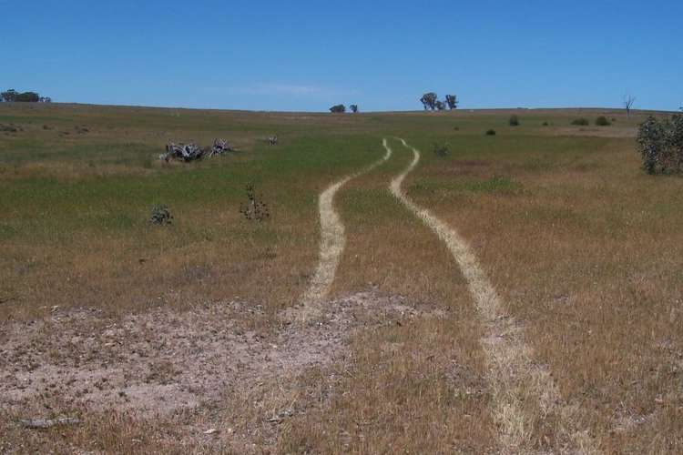 Second view of Homely ruralOther listing, Old Canfields Road, Korong Vale VIC 3520