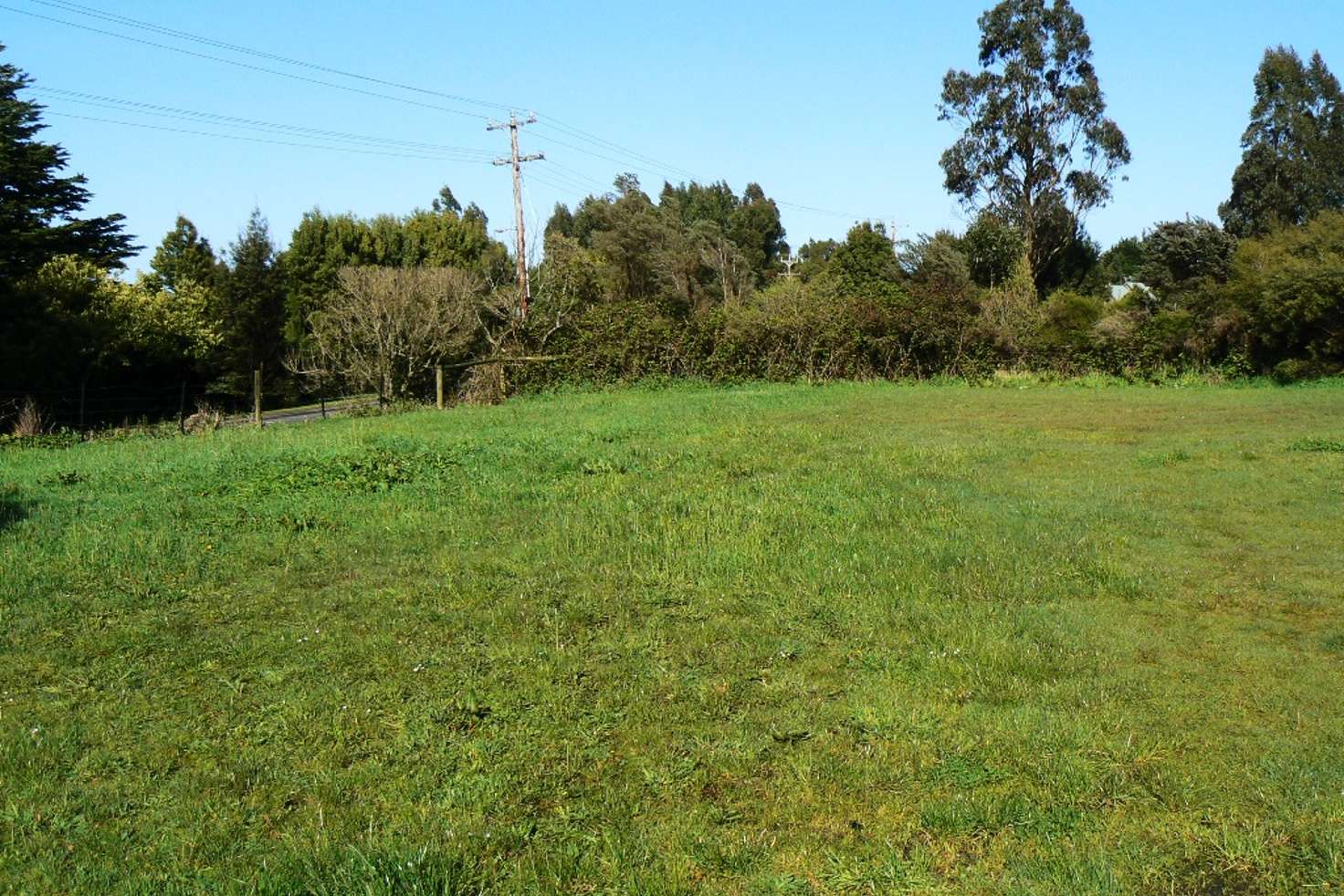 Main view of Homely residentialLand listing, 31 Main Road, Beech Forest VIC 3237