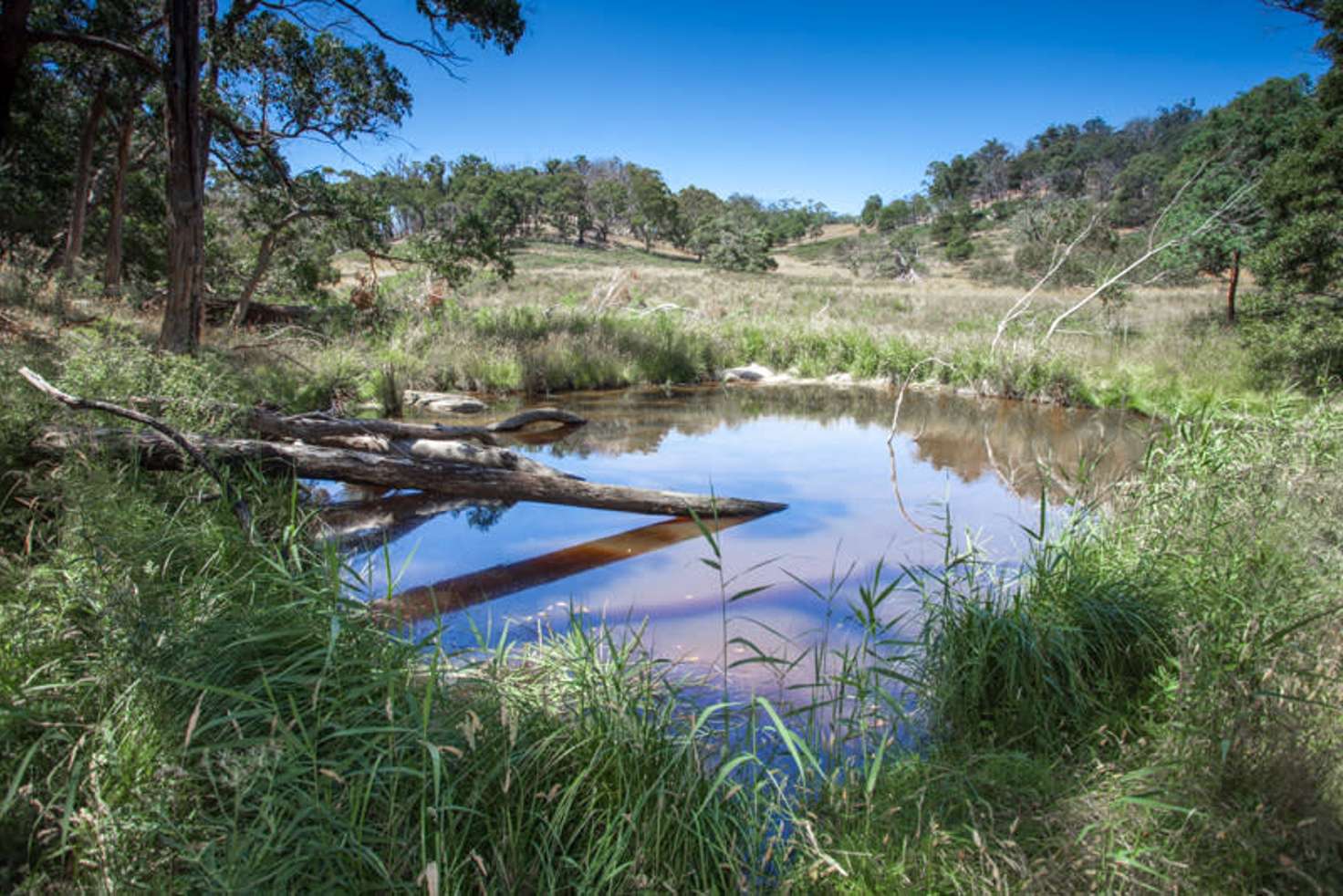 Main view of Homely residentialLand listing, 496 Youngs Road, Baynton VIC 3444