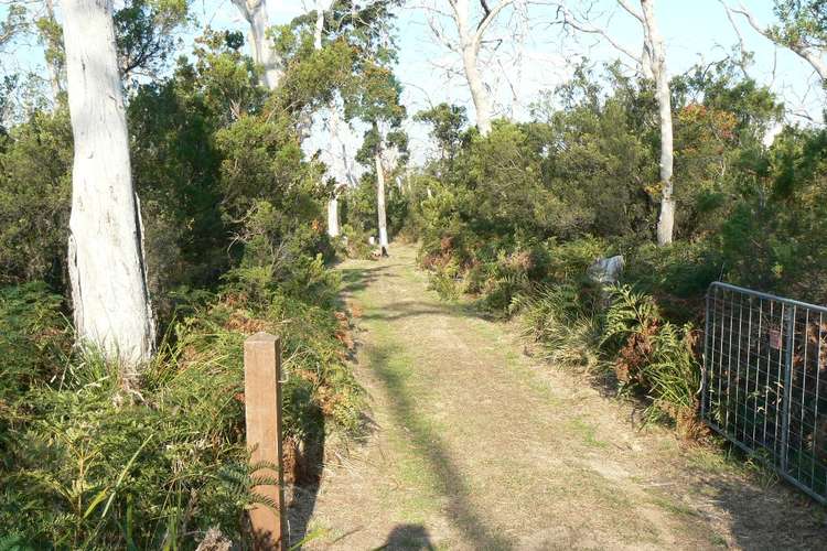 Main view of Homely residentialLand listing, LOT 3 Otway Park, Cape Otway VIC 3233