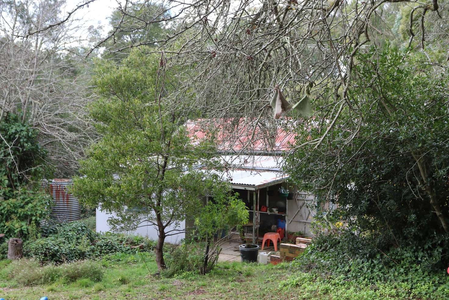 Main view of Homely house listing, 202 Golden Point Road, Blackwood VIC 3458