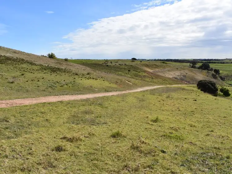 Sixth view of Homely rural property listing, 1483 Canunda Frontage Road, Millicent SA 5280