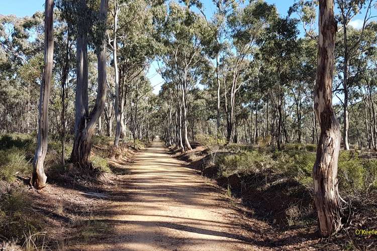 Fifth view of Homely residentialLand listing, CA 5 Boomerang Place, Heathcote VIC 3523