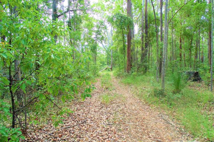 Main view of Homely residentialLand listing, 187 Burtons Road, Bridges QLD 4561