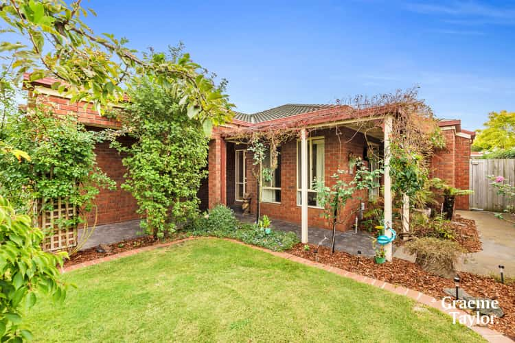 12 Fraser Street, Herne Hill VIC 3218