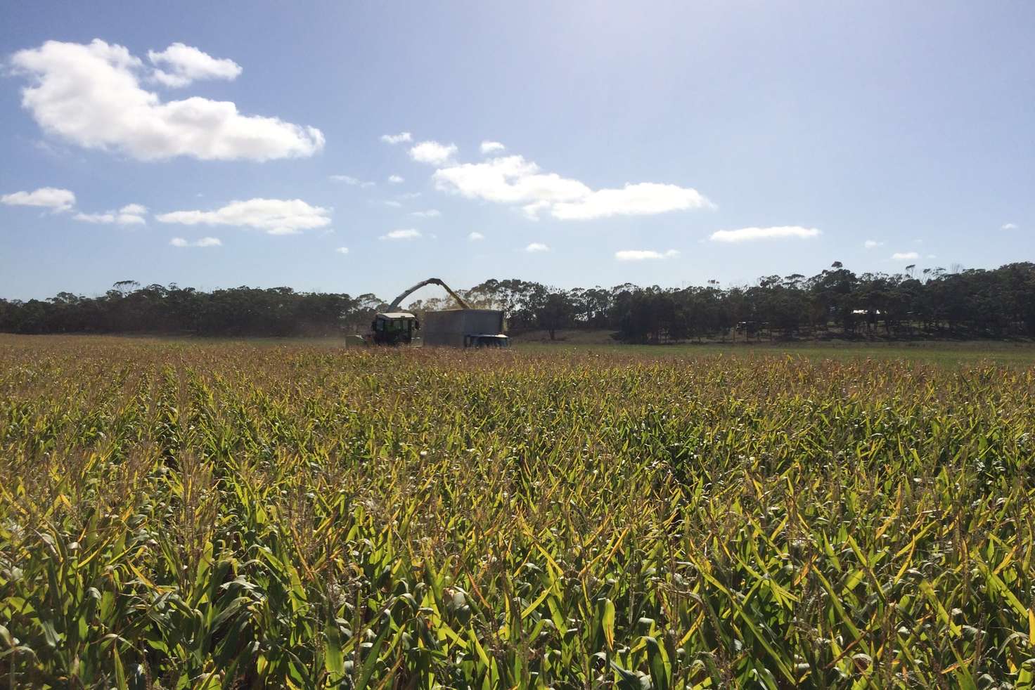 Main view of Homely mixedFarming listing, Lot 2 & 3 Gorae Road, Bolwarra VIC 3305