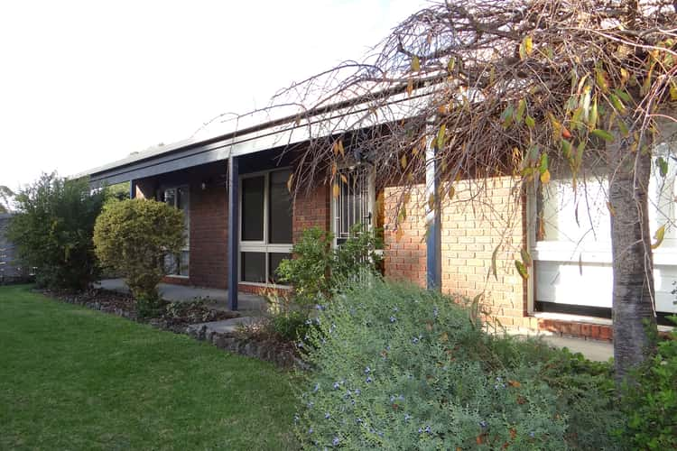 Fifth view of Homely house listing, 28 Braidwood Avenue, Rosebud VIC 3939