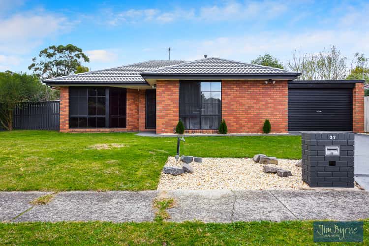 Main view of Homely unit listing, 1/37 Collins Crescent, Berwick VIC 3806