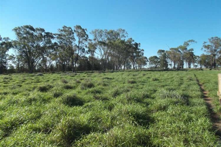 Seventh view of Homely livestock listing, 421 Oberina Road, Roma QLD 4455