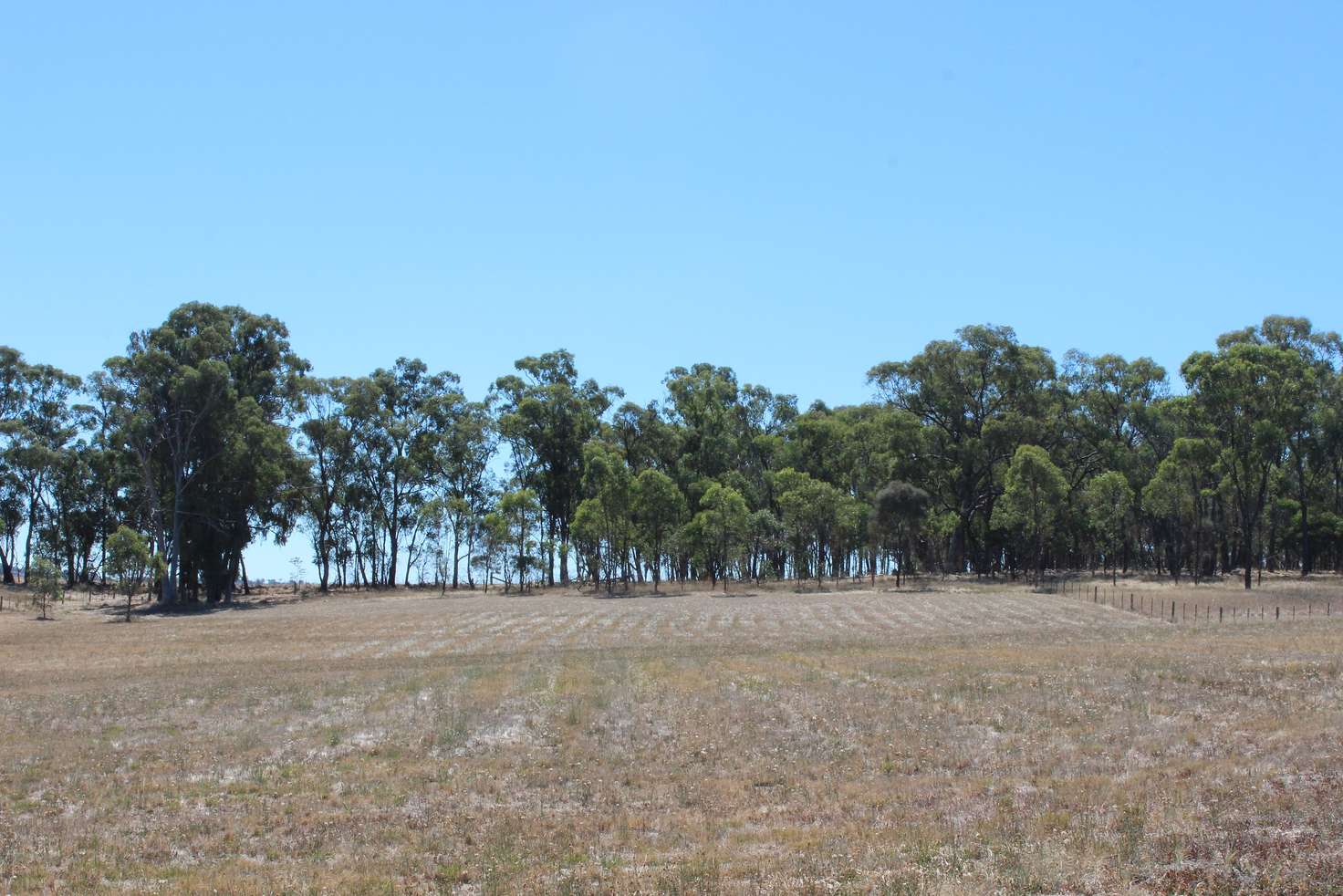 Main view of Homely residentialLand listing, LOT 46 Lakeside Drive, Chesney Vale VIC 3725