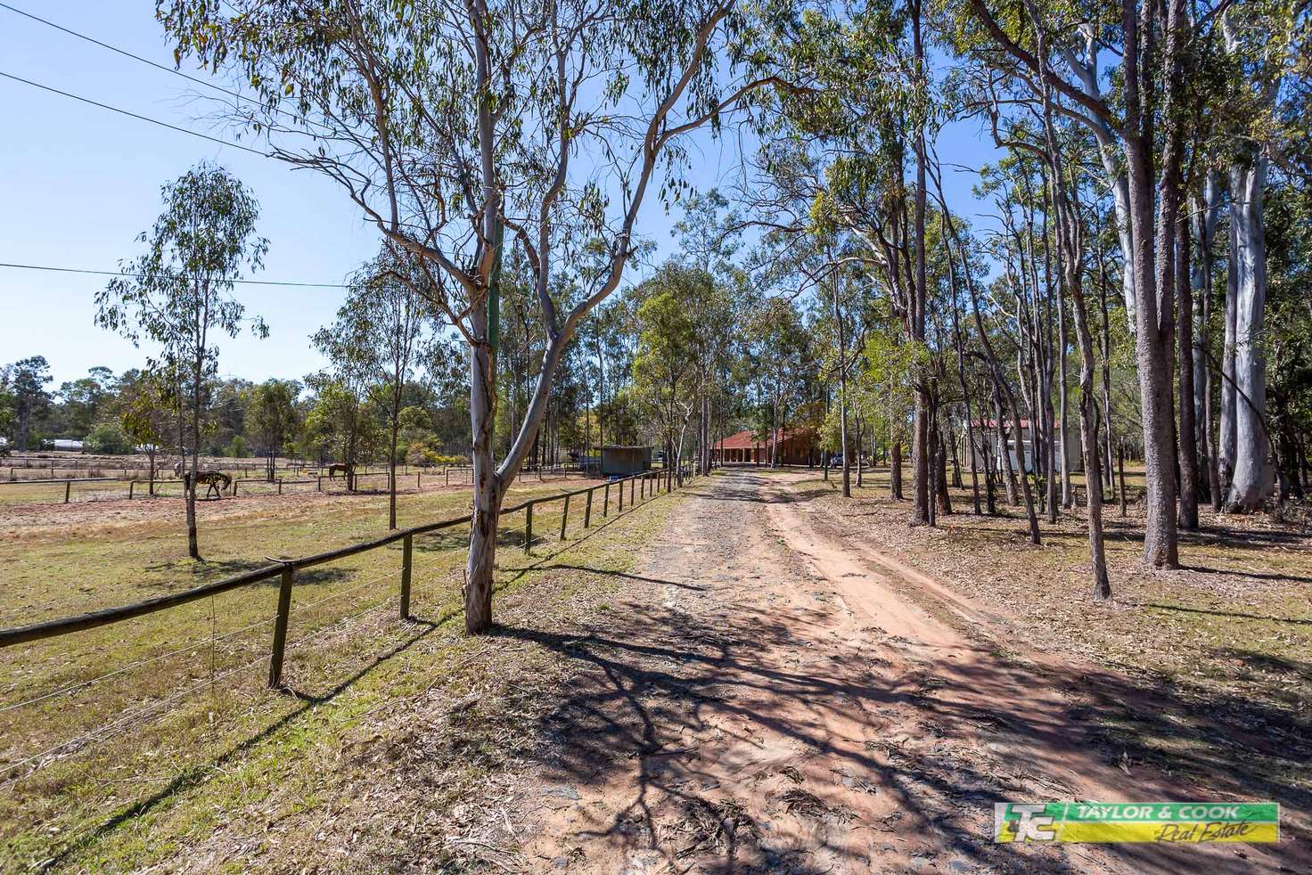 Main view of Homely house listing, 133 Carrum Road, Jimboomba QLD 4280