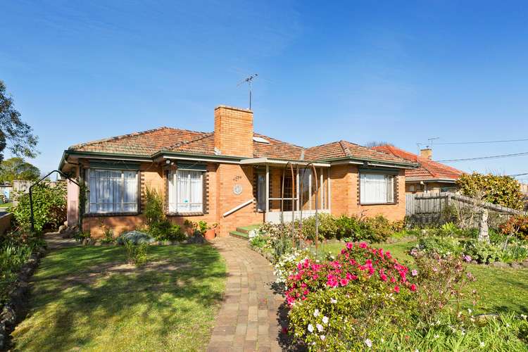 Main view of Homely house listing, 17 Maude Street, Box Hill North VIC 3129