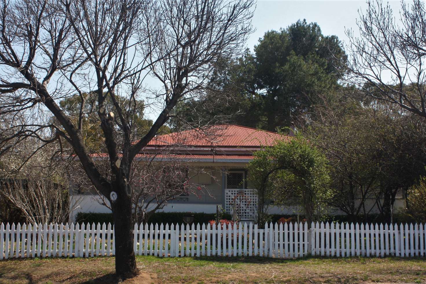 Main view of Homely house listing, 9 Oban Street, Coolah NSW 2843