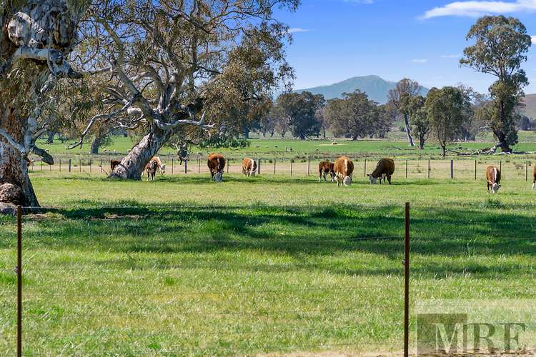 Second view of Homely acreageSemiRural listing, 42 Dueran Lane, Mansfield VIC 3722