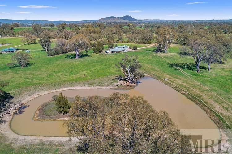 Fifth view of Homely acreageSemiRural listing, 42 Dueran Lane, Mansfield VIC 3722