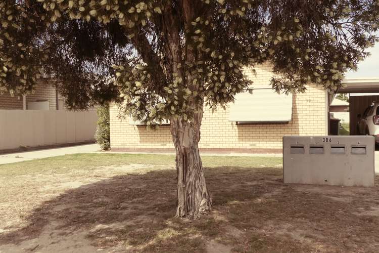 Main view of Homely unit listing, 3/386 English Avenue, Lavington NSW 2641