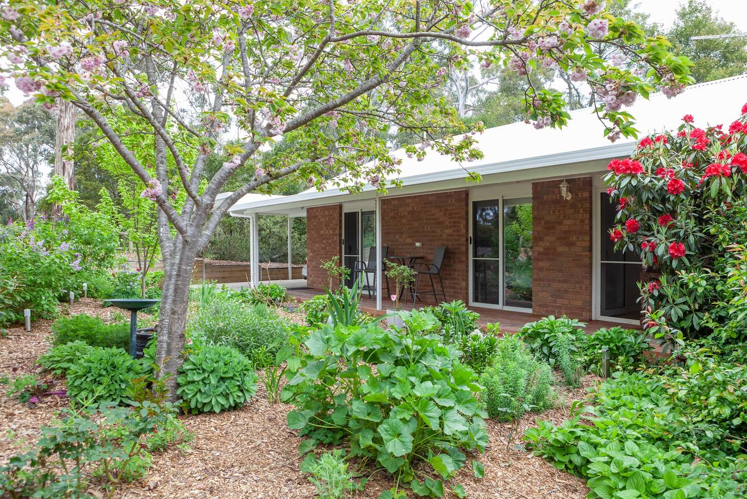 Main view of Homely house listing, 19 Byres Road, Blackwood VIC 3458