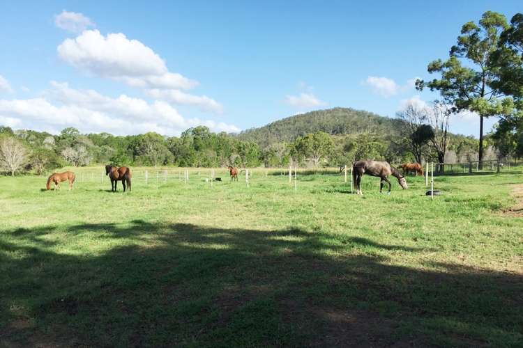 Third view of Homely acreageSemiRural listing, 62 Bakers Road, Bauple QLD 4650