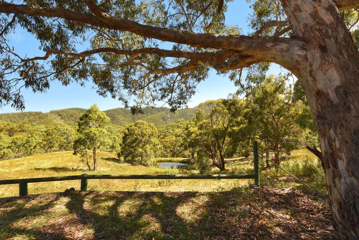 Main view of Homely acreageSemiRural listing, 310 Sir Thomas Mitchell Drive, South Bowenfels NSW 2790