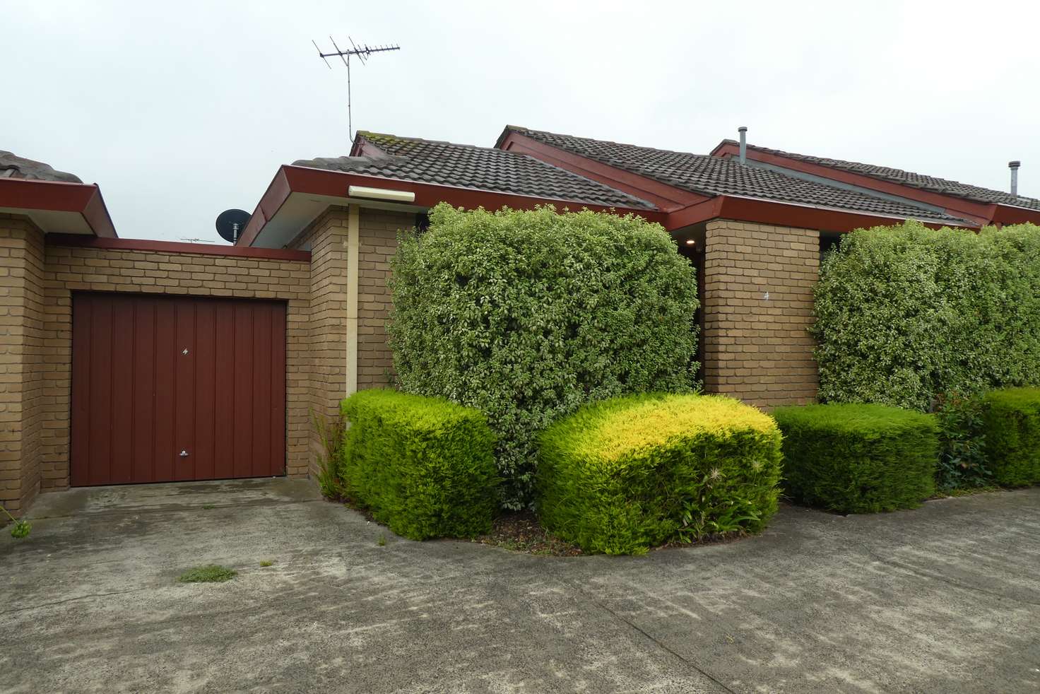 Main view of Homely villa listing, 4/38 Grevillia Road, Oak Park VIC 3046