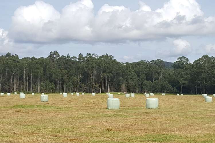 Fourth view of Homely livestock listing, 271D Lemon Tree Creek Road, Termeil NSW 2539