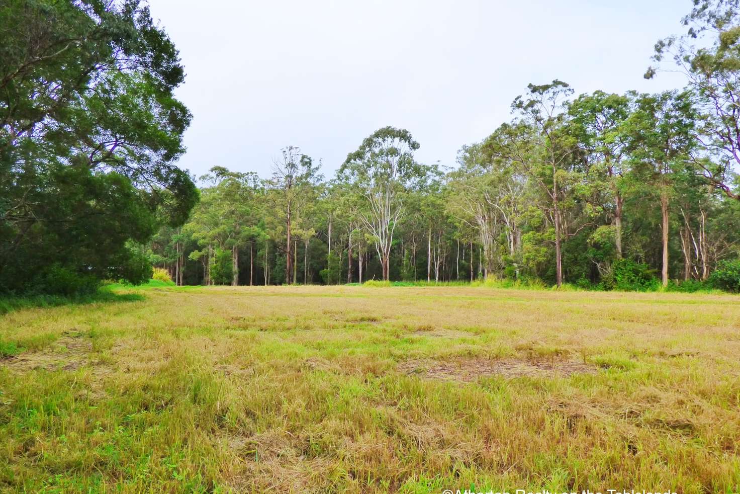 Main view of Homely residentialLand listing, LOT 4/40 Elms Road, Wondecla QLD 4887