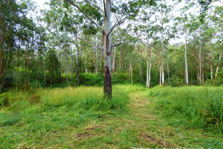 Seventh view of Homely residentialLand listing, LOT 4/40 Elms Road, Wondecla QLD 4887