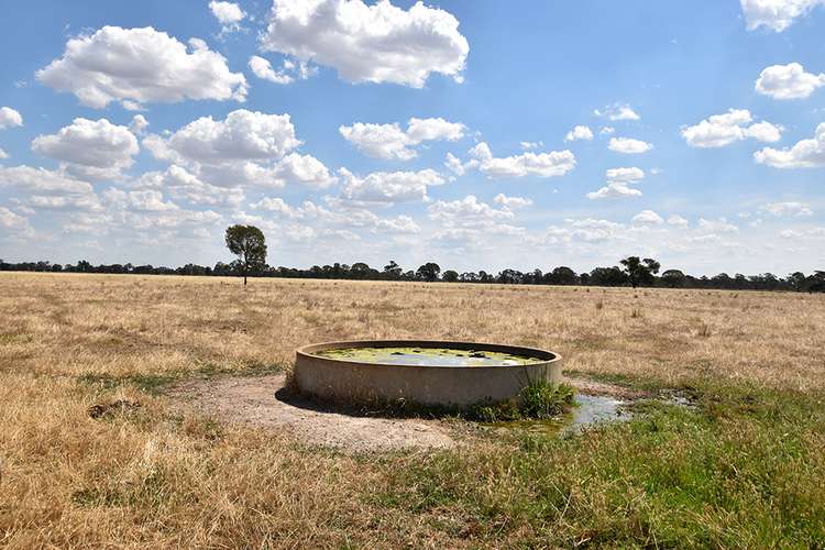 Seventh view of Homely cropping listing, 761 Zegelin Road, Rushworth VIC 3612