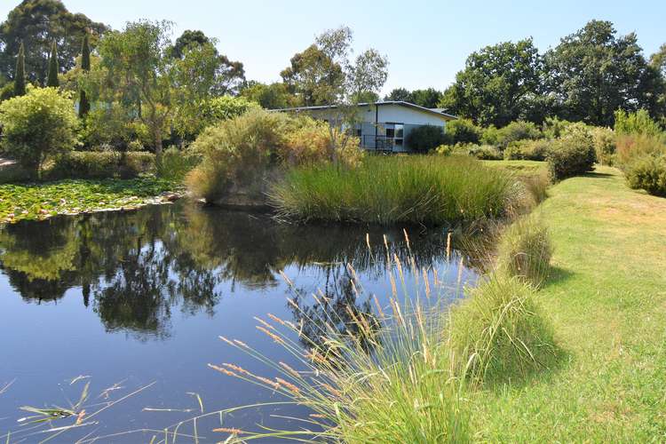 Main view of Homely house listing, 18E NANKERVIS COURT, Beechworth VIC 3747