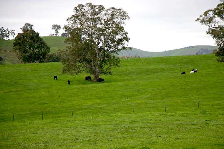 Fifth view of Homely livestock listing, 48 Frog Ponds Road, Yea VIC 3717