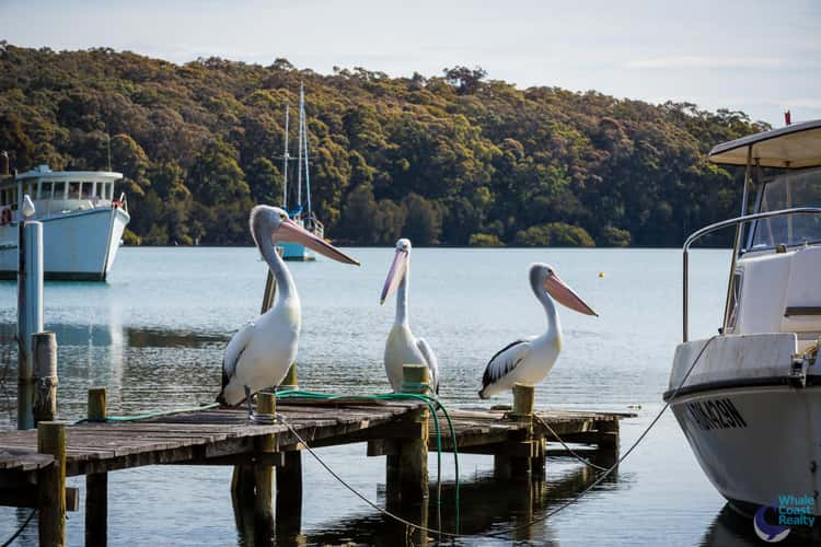 Sixth view of Homely residentialLand listing, LOT 1964 Riverside Drive, Narooma NSW 2546