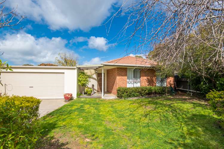 Main view of Homely house listing, 16 ANSELL CRESCENT, Shepparton VIC 3630