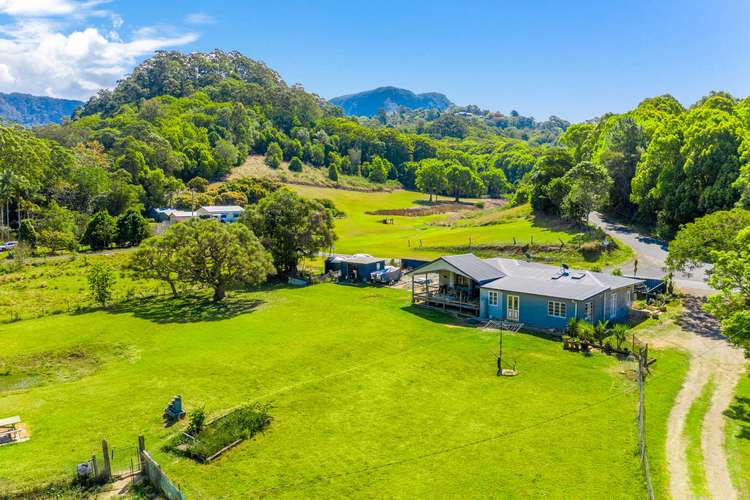 Fourth view of Homely lifestyle listing, 551 Left Bank Rd, Mullumbimby NSW 2482