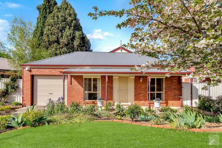 Main view of Homely house listing, 31 Gollan Circuit, Mount Barker SA 5251