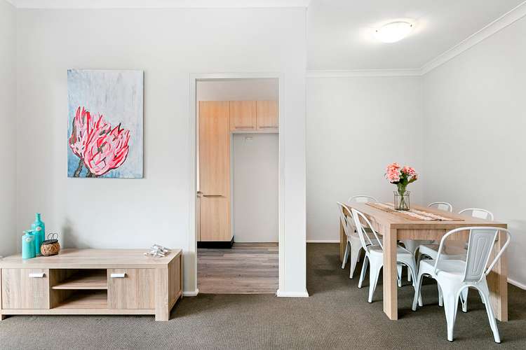 Main view of Homely unit listing, 14/23 Willison Road, Carlton NSW 2218