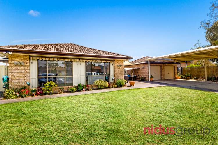 19 Todd Row, St Clair NSW 2759