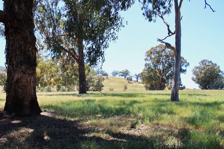 Fourth view of Homely residentialLand listing, 41 Lawsons Lane, Mansfield VIC 3722