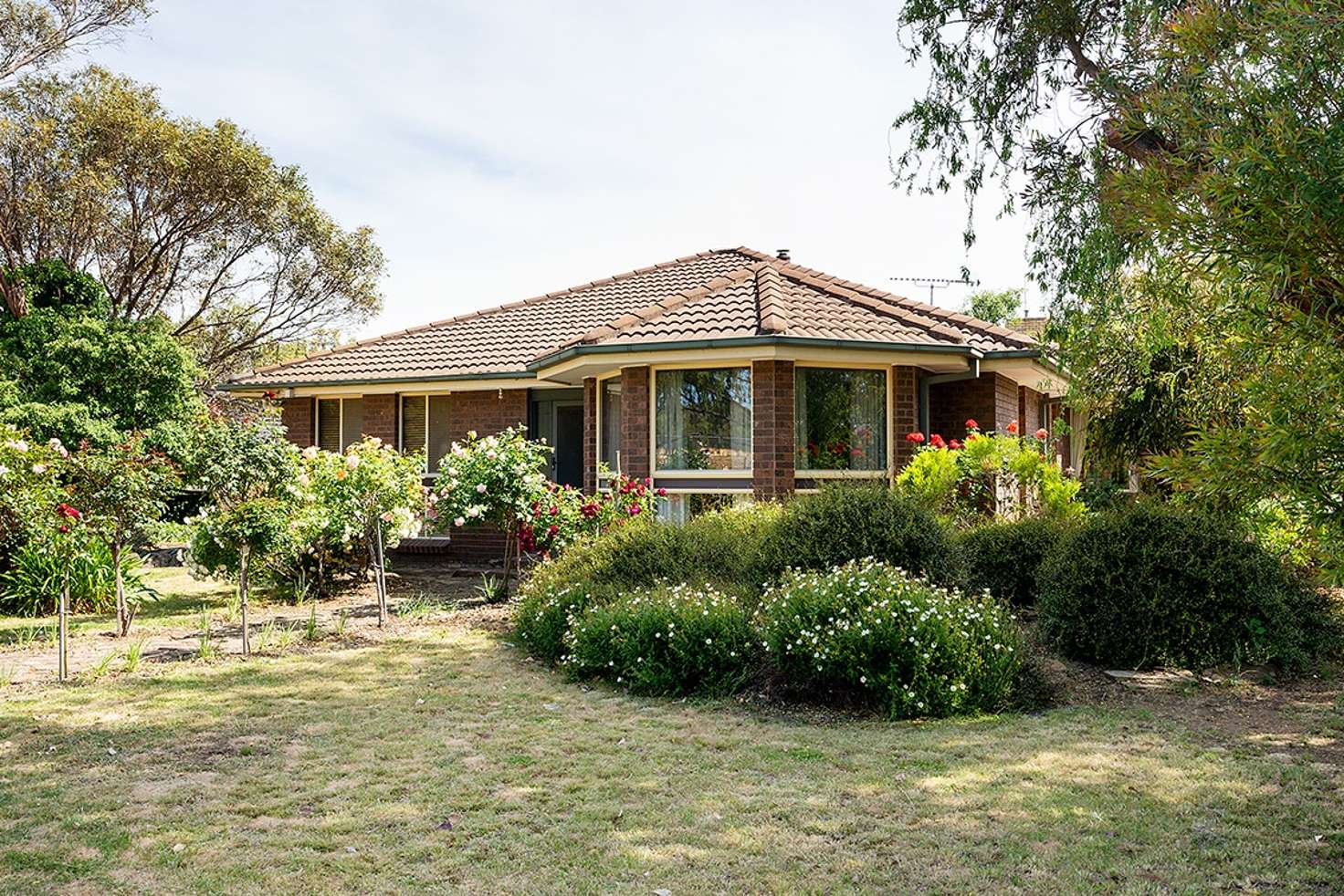 Main view of Homely house listing, 13 McGrath Street, Castlemaine VIC 3450