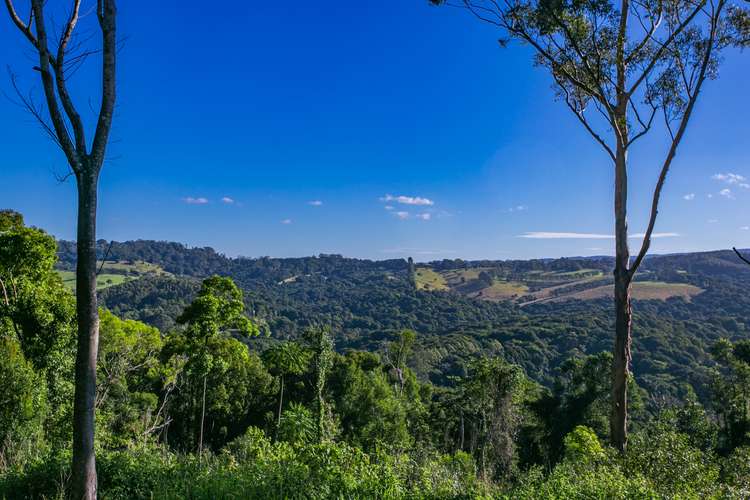 LOT 5/95 Newes Road, Coorabell NSW 2479