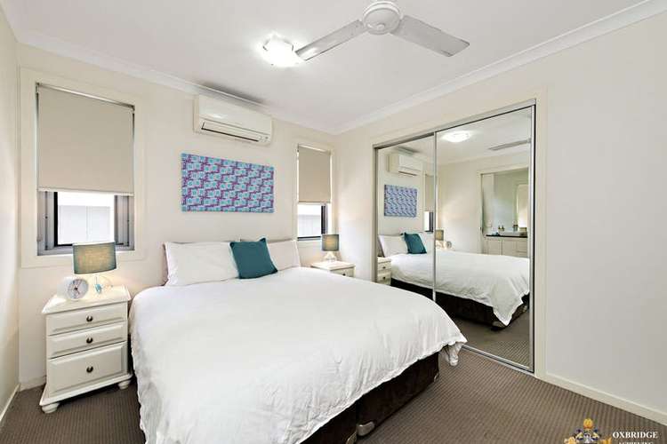 Main view of Homely apartment listing, 40 Birdwood Road, Carina QLD 4152