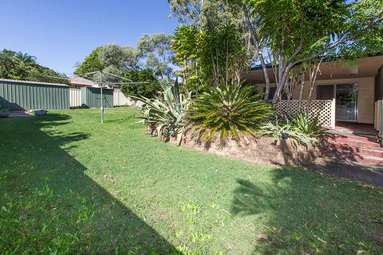 41 Kraatz Avenue, Loganlea QLD 4131