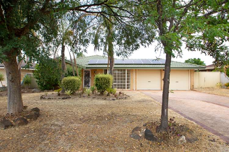 Main view of Homely house listing, 6 TORNDIRRUP PLACE, Ballajura WA 6066