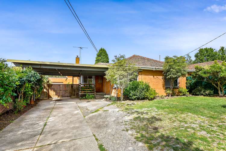 Main view of Homely house listing, 97 Betula Avenue, Vermont VIC 3133