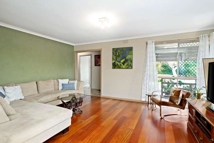 Third view of Homely house listing, 97 Betula Avenue, Vermont VIC 3133