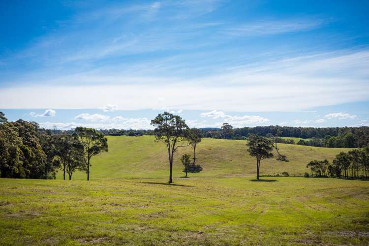 Fifth view of Homely mixedFarming listing, 7514 Princes Highway, Narooma NSW 2546
