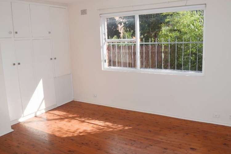 Third view of Homely studio listing, 3/49 Palace Street, Ashfield NSW 2131